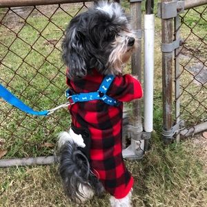 Meet your Posher, Jose